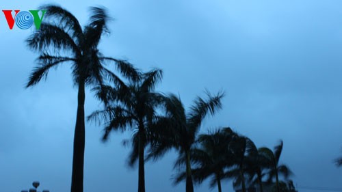 Typhoon Haiyan makes landfall in Hai Phong and Quang Ninh - ảnh 2