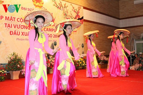 Vietnamese embassy in Cambodia holds new year meeting - ảnh 1