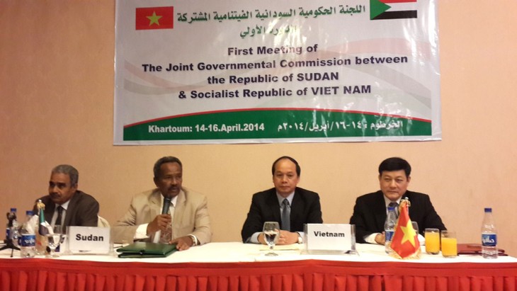 Vietnam, Sudan strengthen multifaceted cooperation - ảnh 1