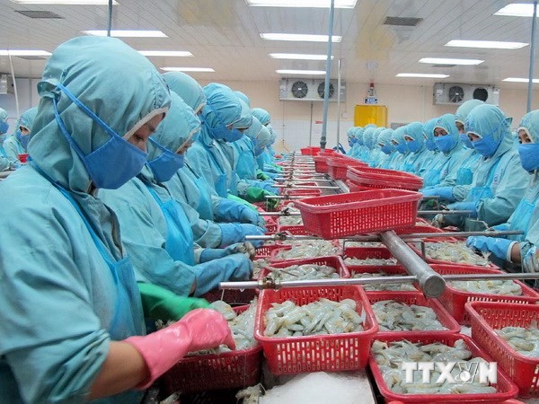 WTO’s ruling on shrimp dumping lawsuit taken by Vietnam against the US - ảnh 1