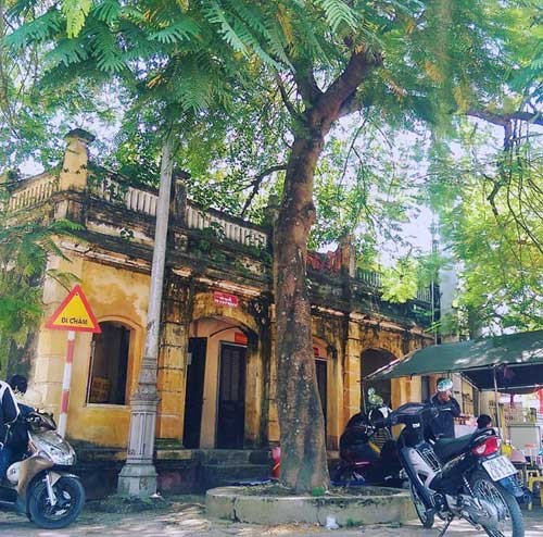 Duong Lam ancient village in autumn - ảnh 3