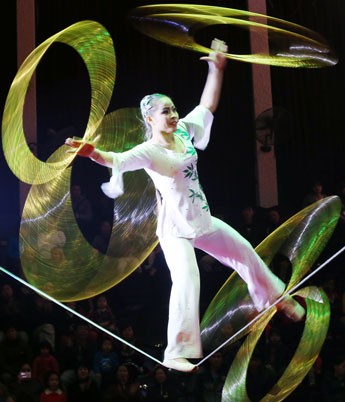 2015 Vietnam-Laos-Cambodia young circus talent contest closes - ảnh 1