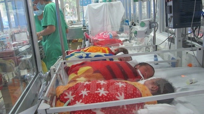 Vietnam responds to surrogacy demand - ảnh 1