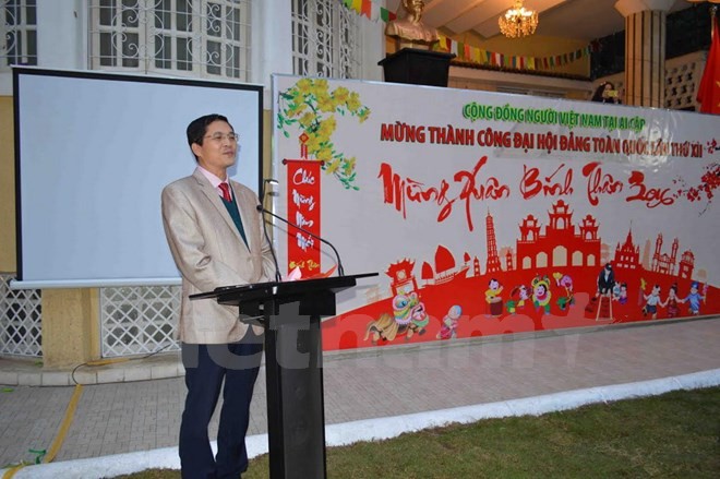 Vietnam embassy in Egypt holds new year celebration - ảnh 1