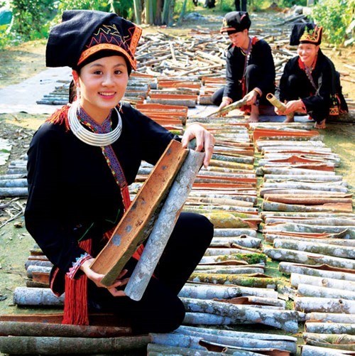 Cinnamon growing helps reduce poverty in Yen Bai province - ảnh 4