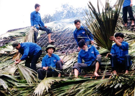 Youth volunteer activities in Quang Ninh - ảnh 1