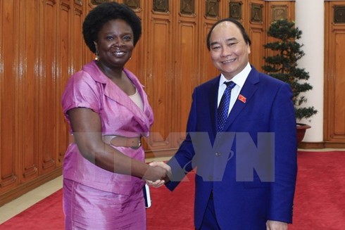 New PM affirms continued cooperation with WB - ảnh 1