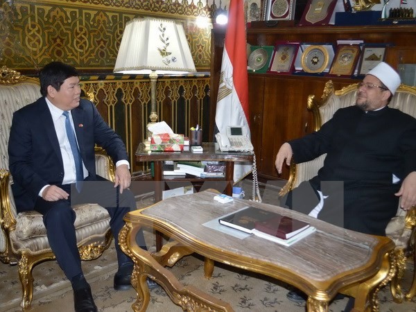 Government committee for religious affairs delegation visits Egypt - ảnh 1