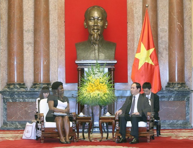 World Bank Vice President for East Asia and Pacific visits Vietnam - ảnh 1