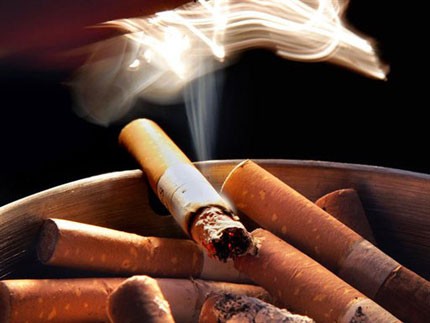 世卫组织警告香烟将夺走全球10亿人性命 - ảnh 1