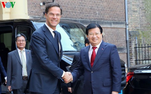 越南政府副总理王庭勇会见荷兰首相吕特 - ảnh 1