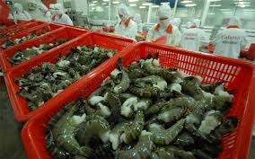 日本是越南最大的虾出口市场 - ảnh 1