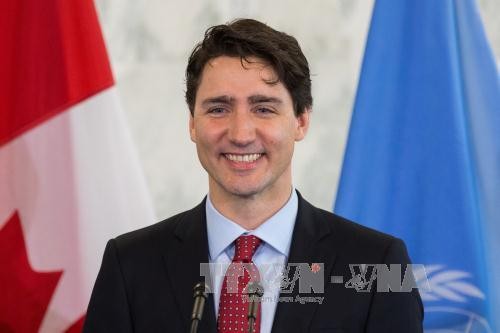 2017APEC：加拿大总理特鲁多希望本次访越将推动各项重要问题 - ảnh 1