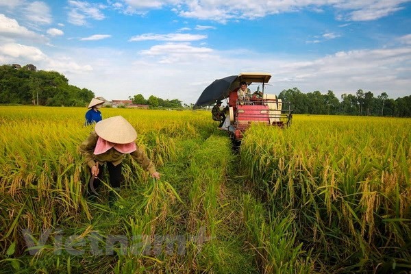 《在气候变化背景下服务可持续发展的绿色经济》一书发布 - ảnh 1