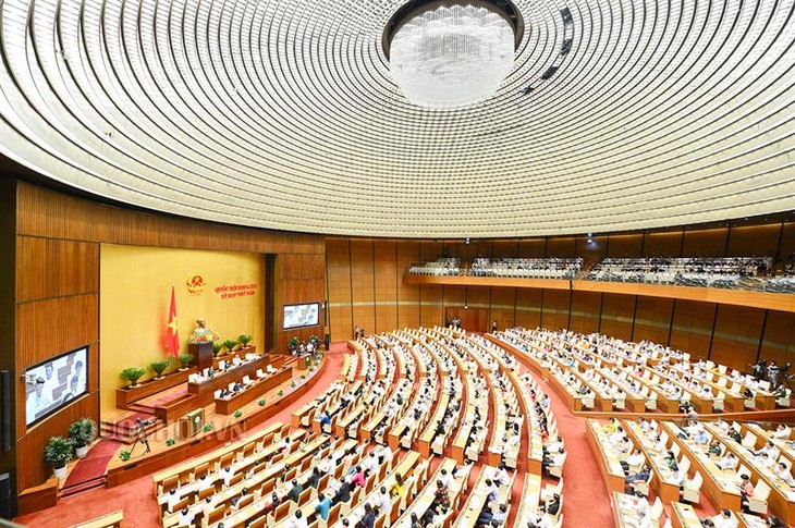 L’Assemblée nationale adopte le programme législatif de 2019 - ảnh 1