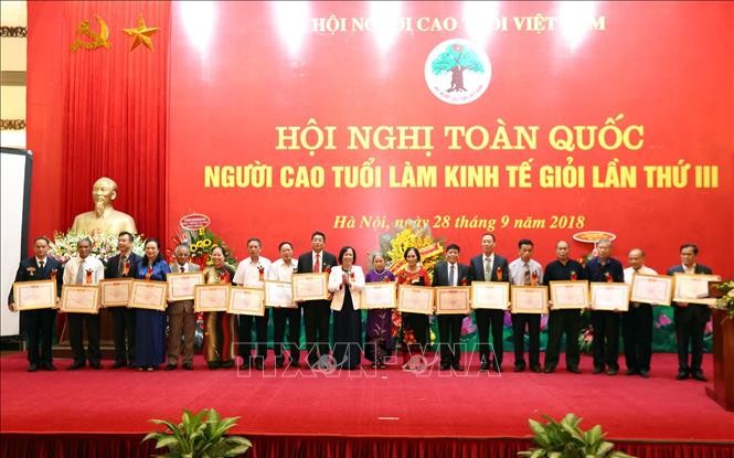 越南政府副总理武德担出席全国第3次老年人经济能手表彰会 - ảnh 1