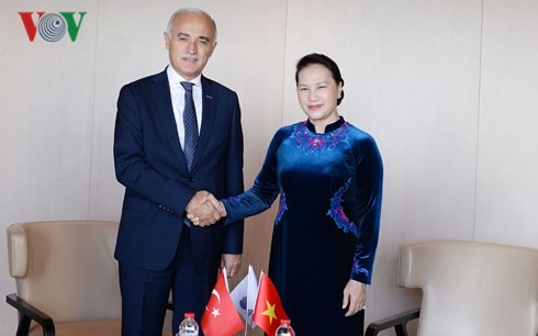 越南国会主席阮氏金银会见土耳其对外经济关系委员会主席纳伊尔 - ảnh 1