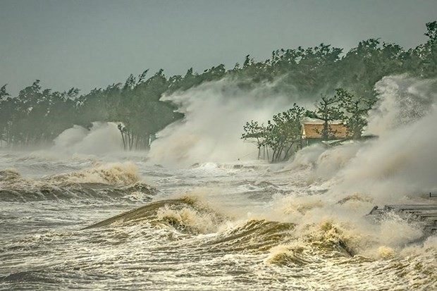 越南作品在中国广州“台风委员会区域天气和气候”摄影比赛中荣获一等奖 - ảnh 1