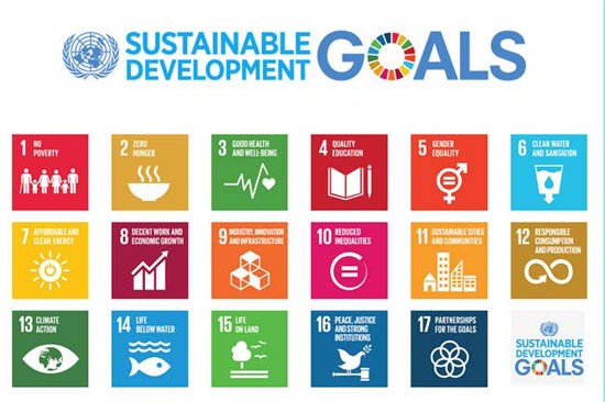 联合国促进实现2030年可持续发展目标的行动 - ảnh 1