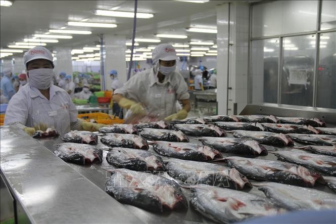 美国承认越南无鳞鱼类产品的同等食品安全检验标准 - ảnh 1