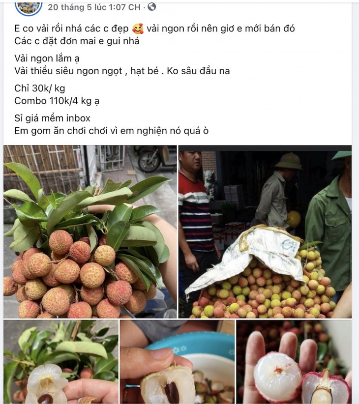 Vải đầu mùa bán tràn Hà Nội: Hút khách từ “chợ mạng”, ven đường đến siêu thị - ảnh 21