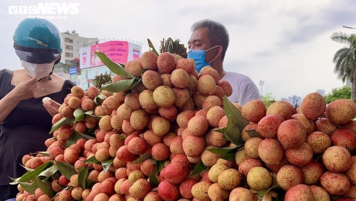 Vải đầu mùa bán tràn Hà Nội: Hút khách từ “chợ mạng”, ven đường đến siêu thị - ảnh 6