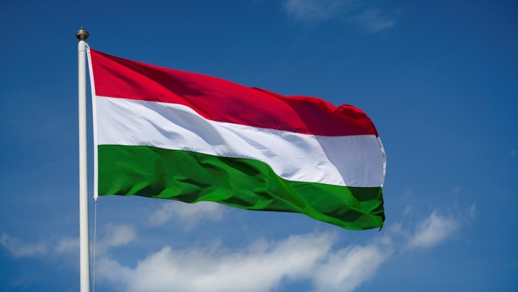 越南国家主席致电祝贺匈牙利国庆 - ảnh 1