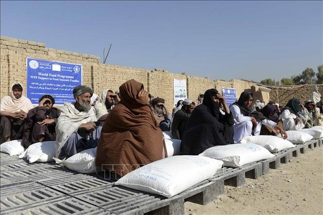 联安理会通过关于向阿富汗提供人道主义援助的决议 - ảnh 1
