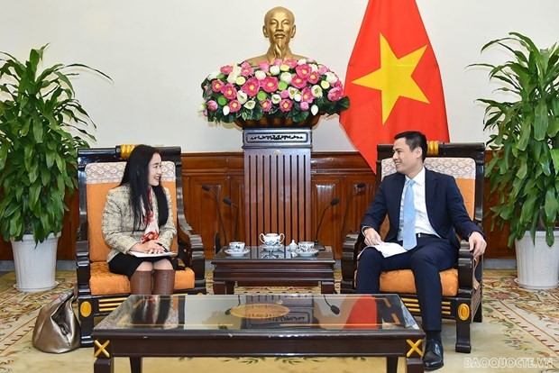 越南外交部副部长邓黄江与UNDP和UNFPA驻越首席代表举行会谈 - ảnh 1