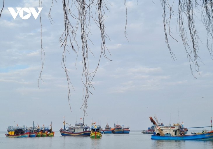 渔民在越南海域坚持出海 - ảnh 1