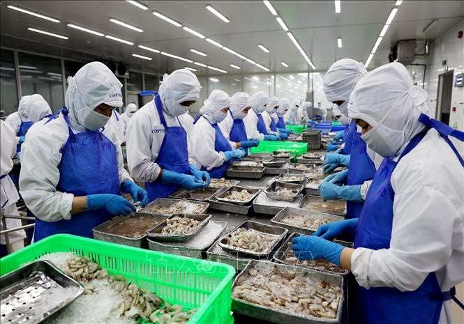越南​水产业适应市场趋势 - ảnh 1