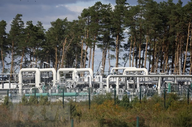俄罗斯保留停止向欧洲供应能源的可能性 - ảnh 1