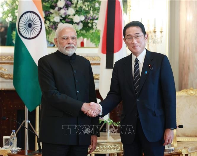 日本、印度、澳大利亚愿为自由开放的印太地区而合作 - ảnh 1