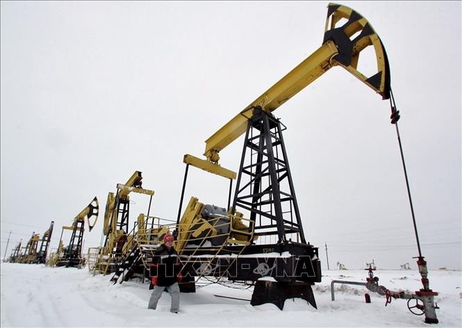 俄罗斯和沙特阿拉伯讨论​石油输出国组织​的减产决定 - ảnh 1