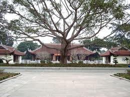 Nghe An: Aufbau des Tempels für Angehörige des Präsidenten Ho Chi Minh - ảnh 1
