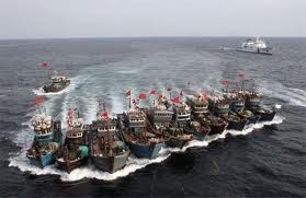 China muss Fischer aufklären, vietnamesisches Territorium zu beachten - ảnh 1