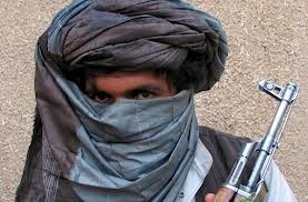 Taliban könnten bei Präsidentenwahl in Afghanistan antreten - ảnh 1