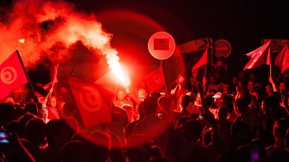 Demonstranten in Tunesien fordern Rücktritt der Regierung - ảnh 1
