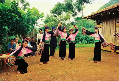 Die Volksgruppe Thai in Vietnam - ảnh 1