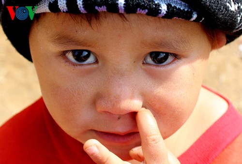 Kinderaugen im vietnamesischen Hochland - ảnh 3