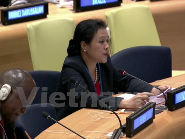 Vietnam verpflichtet sich, mit den UN-Organisationen bei Umsetzung der Gesetze zusammenzuarbeiten - ảnh 1