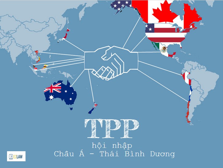 TPP-Mitgliedsländer veröffentlichen Abkommen im Wortlaut - ảnh 1