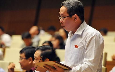 Wähler landesweit heben die jüngste Fragestunde im vietnamesischen Parlament hervor - ảnh 1