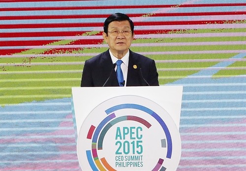 Aktivitäten des Staatspräsidenten Truong Tan Sang beim APEC-Gipfel - ảnh 1