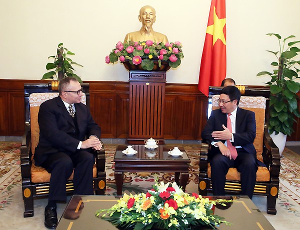 Vizepremierminister Pham Binh Minh empfängt türkischen Botschafter - ảnh 1