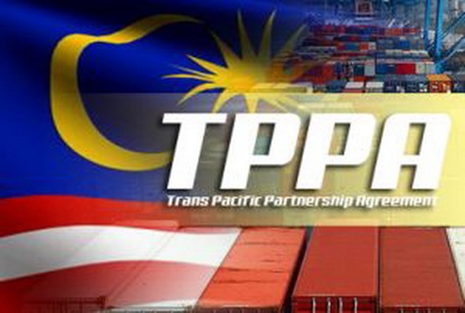 Malaysischer Senat verabschiedet TPP - ảnh 1