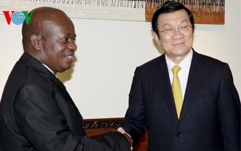 Staatspräsident Truong Tan Sang trifft Parlamentspräsidenten Tansanias - ảnh 1