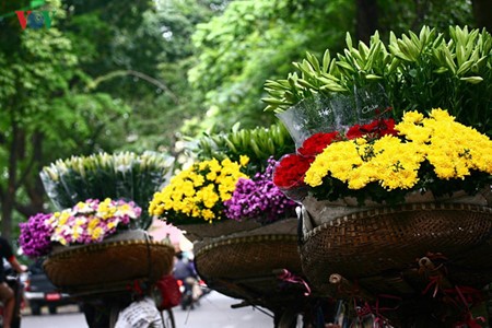 Liliengewächse auf den Straßen Hanois - ảnh 1