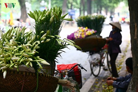 Liliengewächse auf den Straßen Hanois - ảnh 2