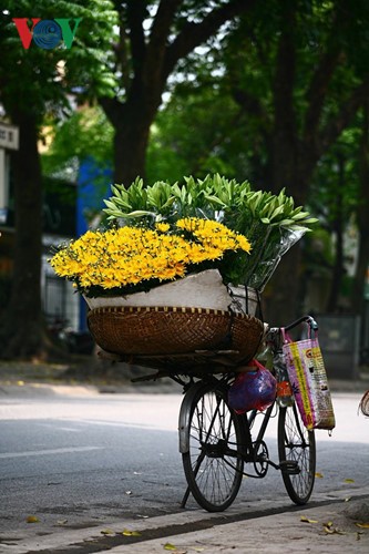 Liliengewächse auf den Straßen Hanois - ảnh 3